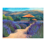 Matanzas Creek Lavender