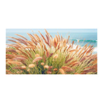 Coastal Grass
